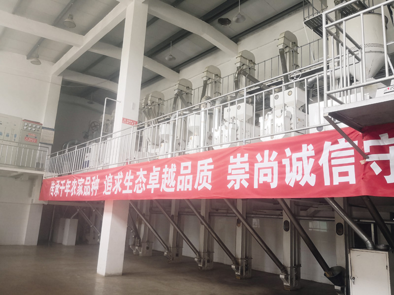 17-3沁州黄小米现场