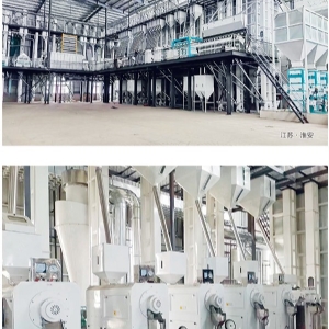 日产80-300吨成套碾米设备工程 